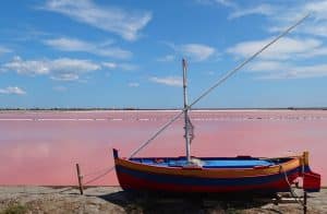 Pink salt marshes in Camargue