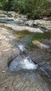 Parc Des Grandes Fougeres En Van Amenage