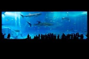 Grand Aquarium De Touraine
