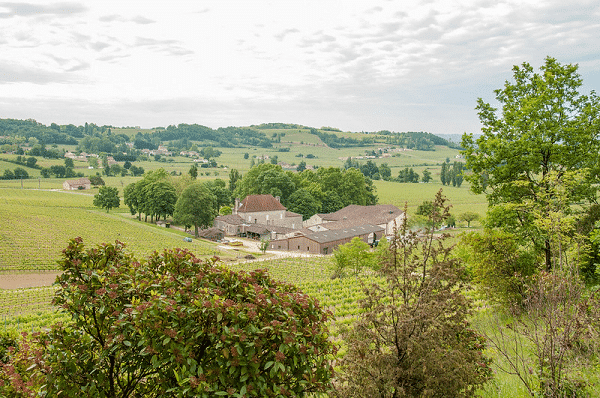 jour 5 circuit road trip st emilion