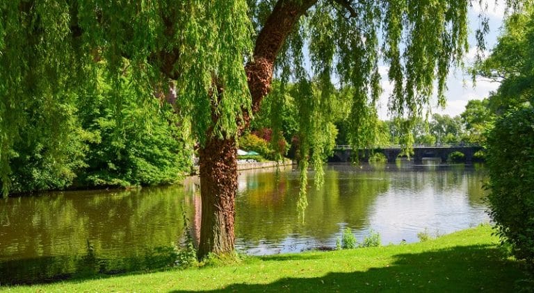 agence location van belgique 2