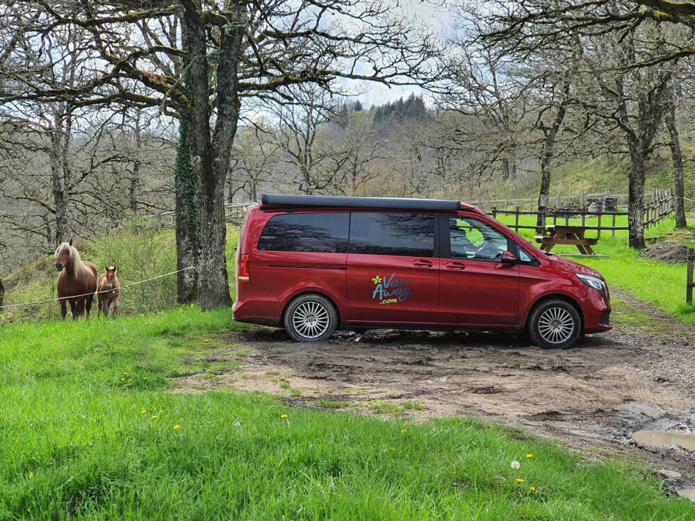 van marco polo chevaux pays loire